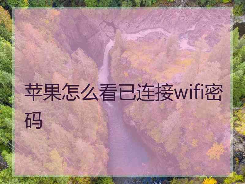 苹果怎么看已连接wifi密码 苹果怎么看已连接wifi密码