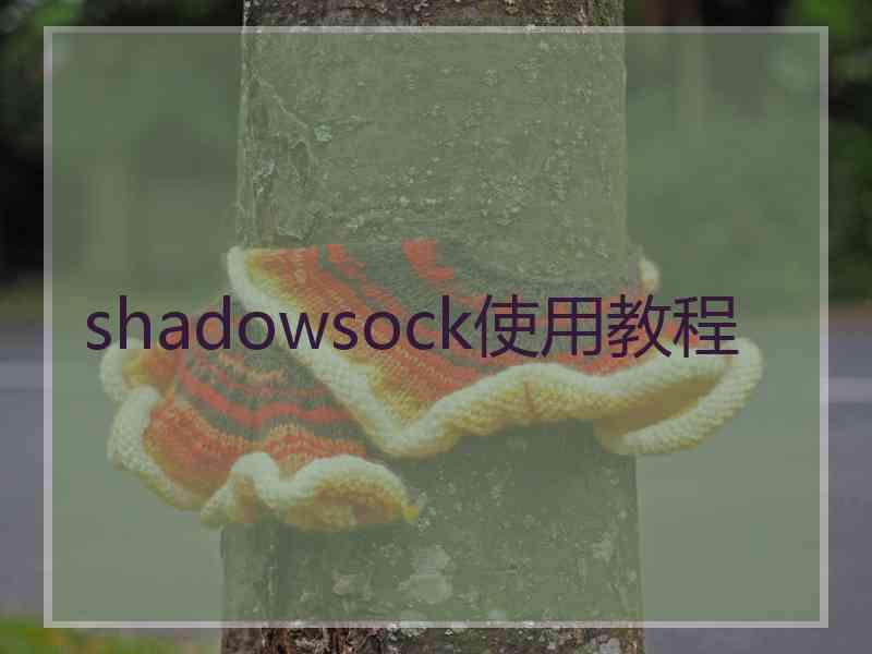 shadowsock使用教程