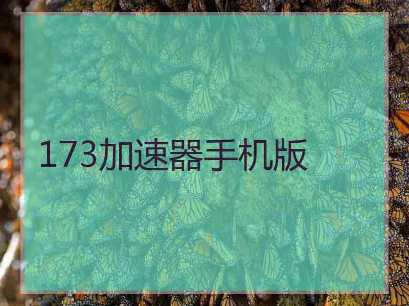 173加速器手机版 173加速器手机版