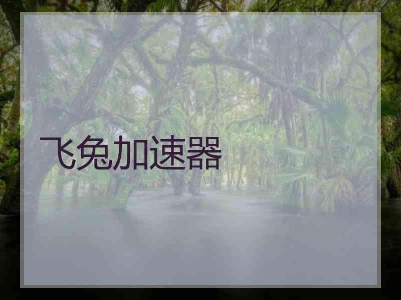 飞兔加速器 飞兔加速器