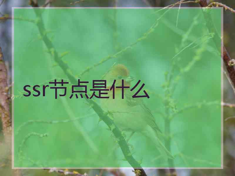 ssr节点是什么 ssr节点是什么