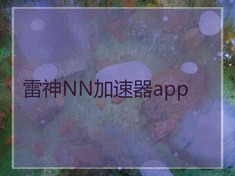 雷神NN加速器app