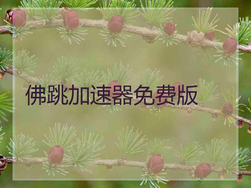 佛跳加速器免费版 佛跳加速器免费版