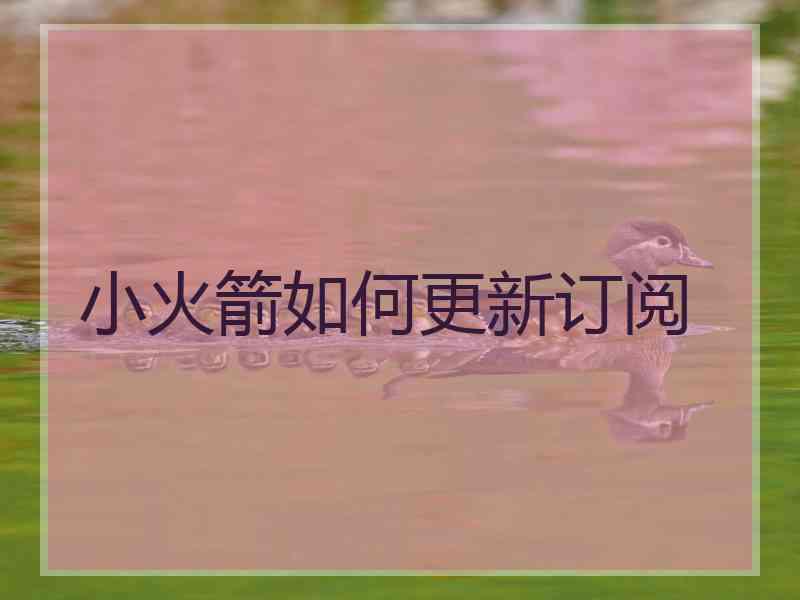 小火箭如何更新订阅 小火箭如何更新订阅