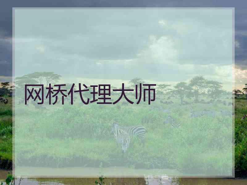 网桥代理大师 网桥代理大师