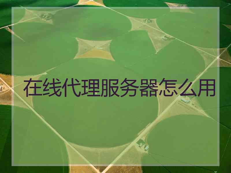 在线代理服务器怎么用 在线代理服务器怎么用