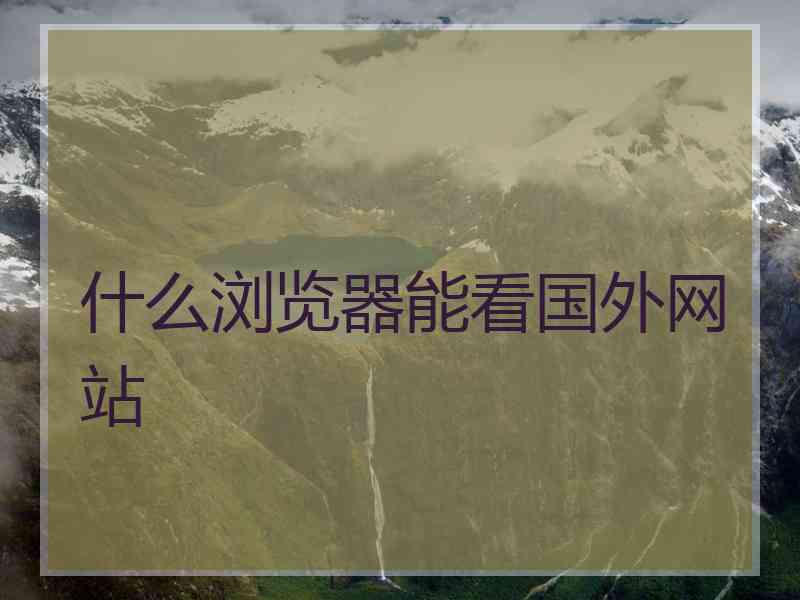 什么浏览器能看国外网站 什么浏览器能看国外网站