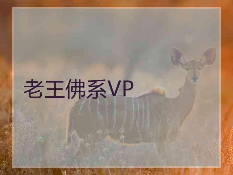 老王佛系VP 老王佛系VP