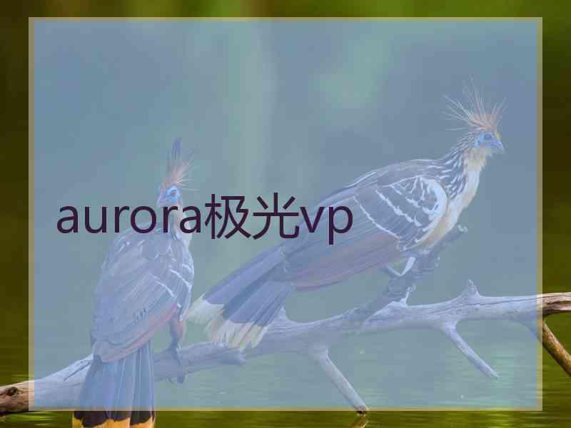 aurora极光vp