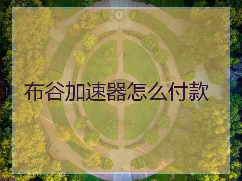 布谷加速器怎么付款 布谷加速器怎么付款