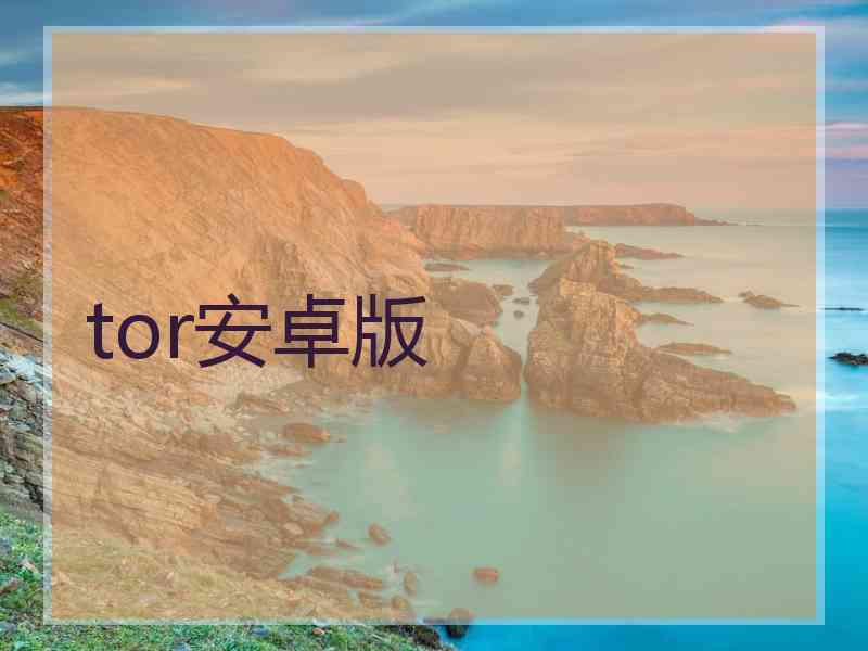 tor安卓版 tor安卓版