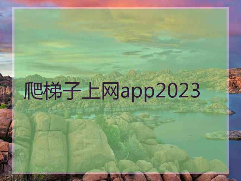 爬梯子上网app2023 爬梯子上网app2023
