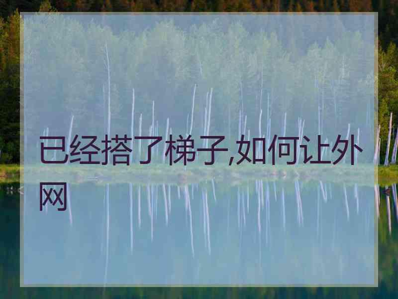 已经搭了梯子,如何让外网 已经搭了梯子,如何让外网