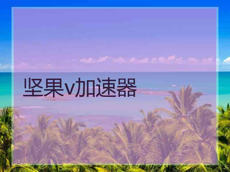 坚果v加速器