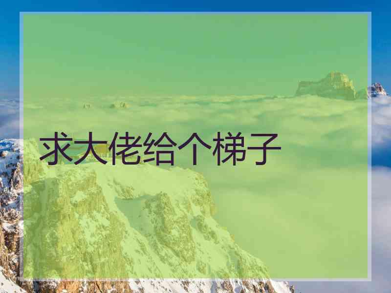 求大佬给个梯子