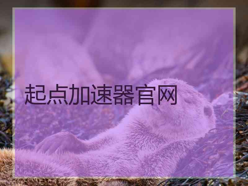 起点加速器官网
