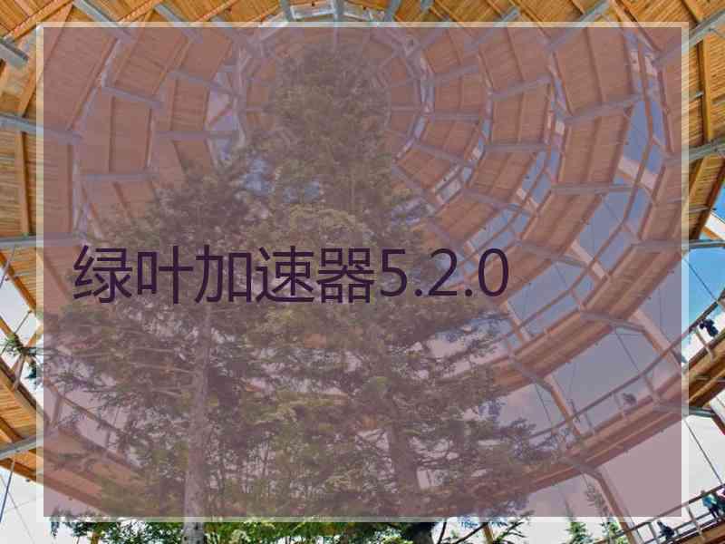 绿叶加速器5.2.0