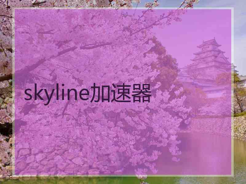 skyline加速器