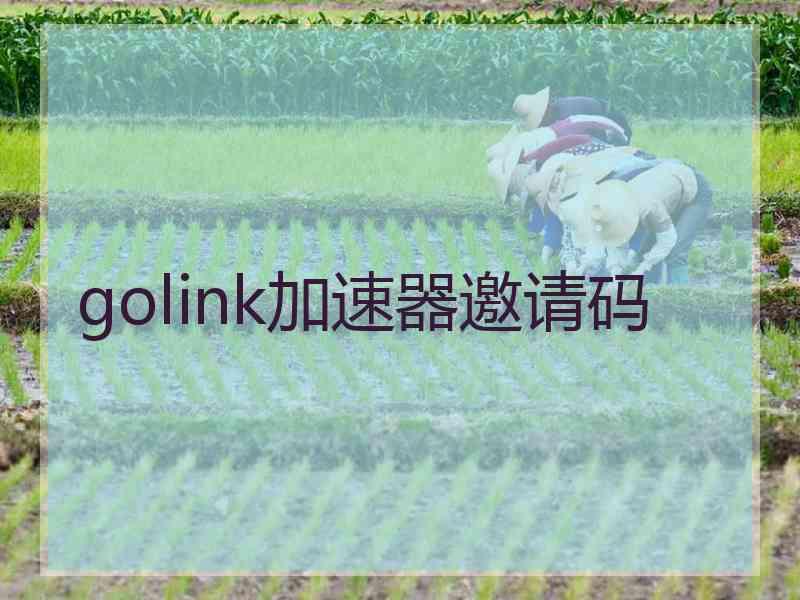 golink加速器邀请码