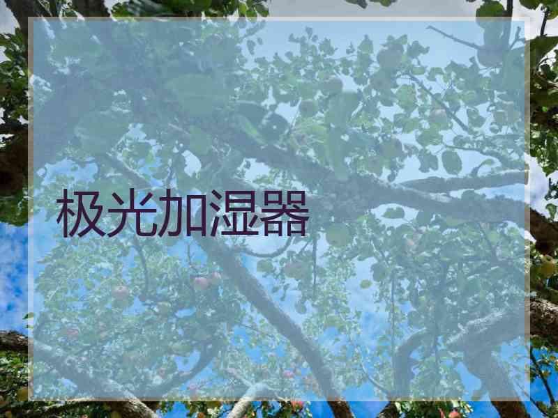 极光加湿器