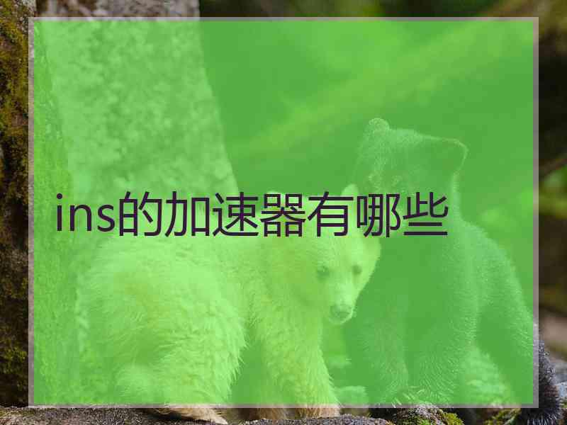 ins的加速器有哪些