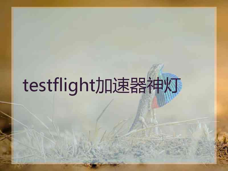 testflight加速器神灯