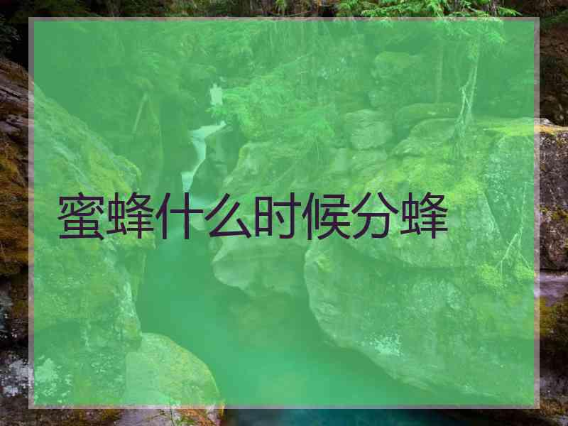 蜜蜂什么时候分蜂