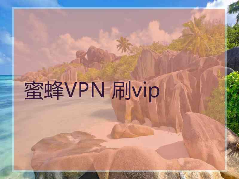 蜜蜂VPN 刷vip