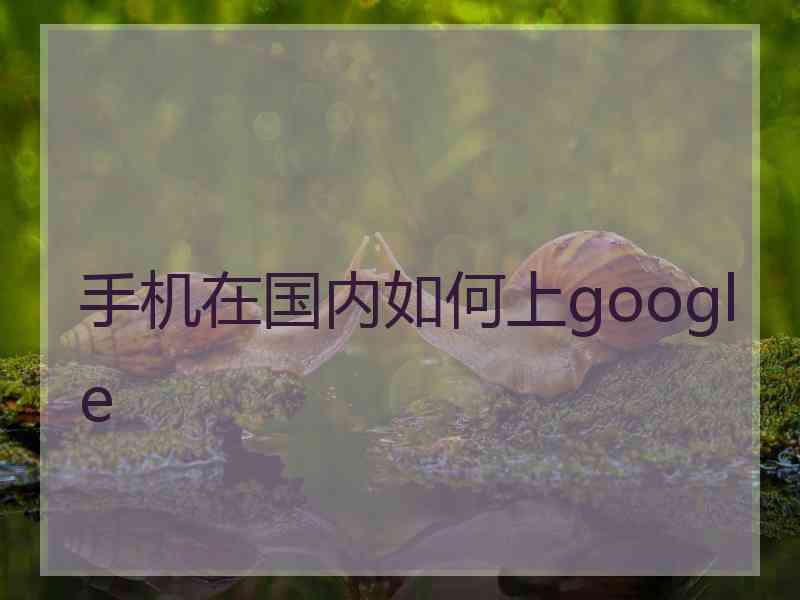 手机在国内如何上google