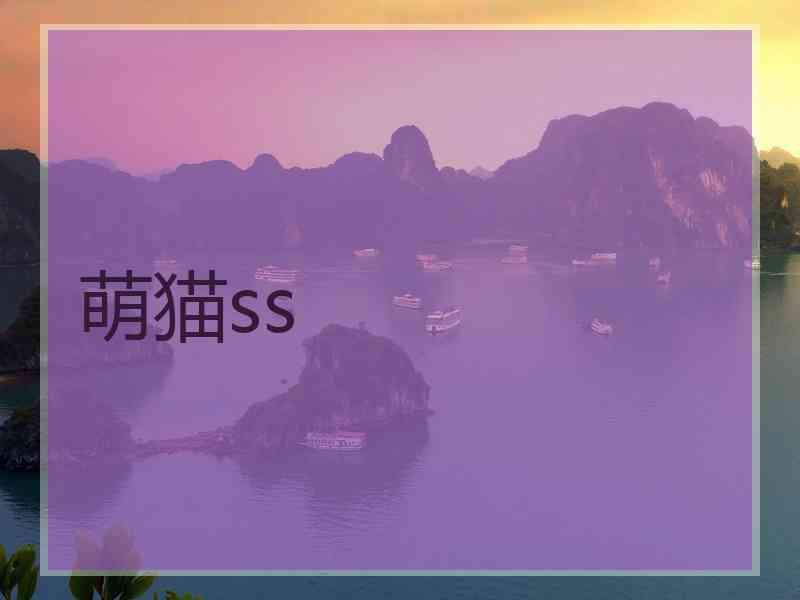 萌猫ss