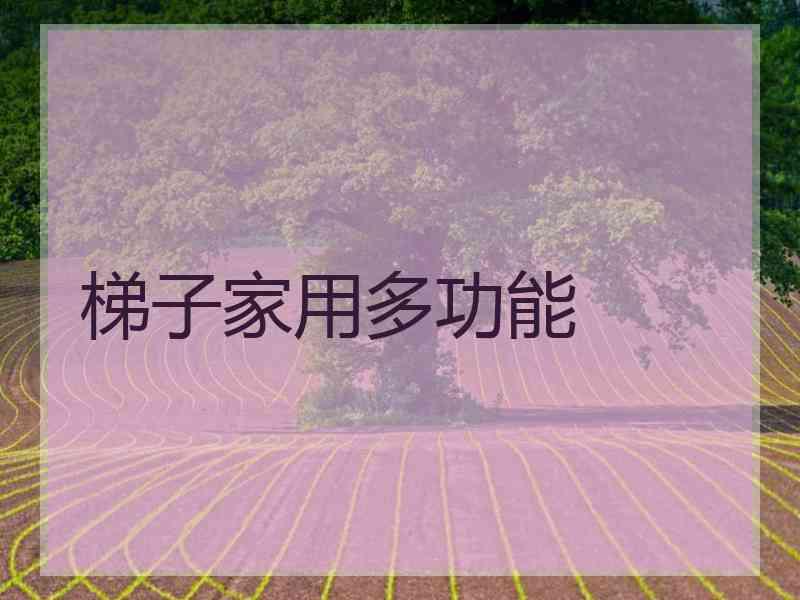梯子家用多功能