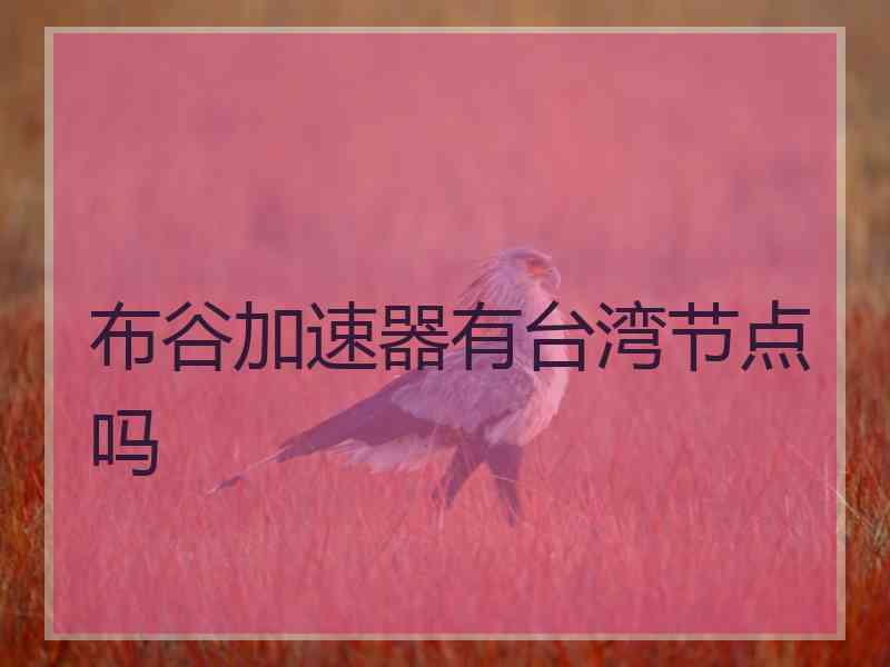 布谷加速器有台湾节点吗