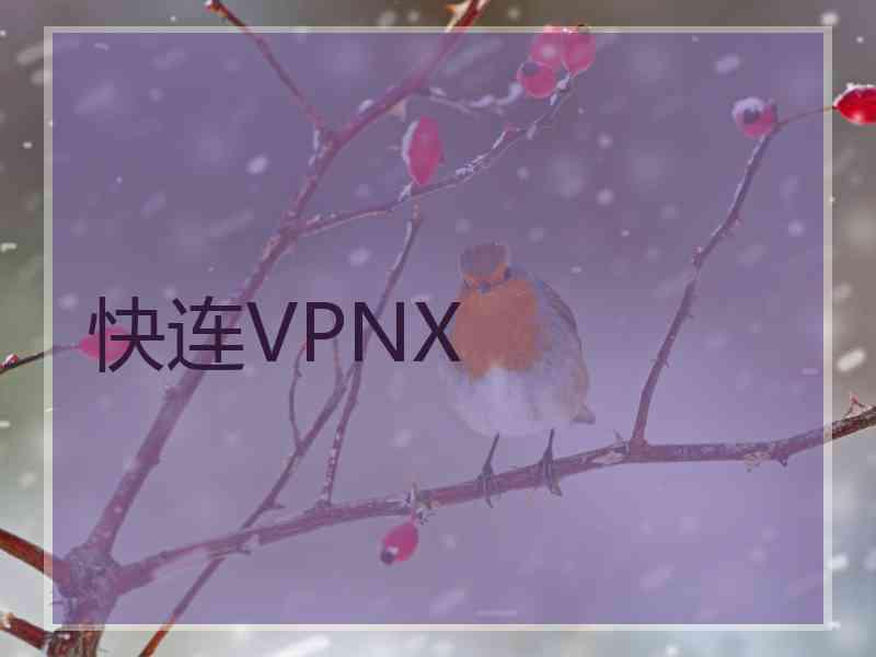 快连VPNX