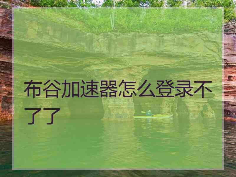 布谷加速器怎么登录不了了
