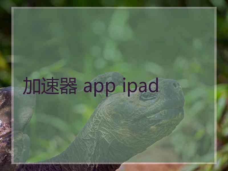 加速器 app ipad