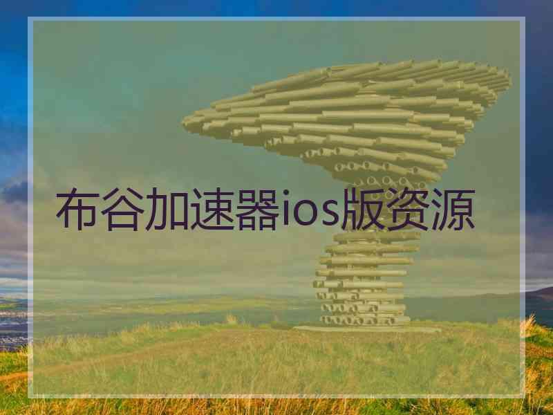 布谷加速器ios版资源