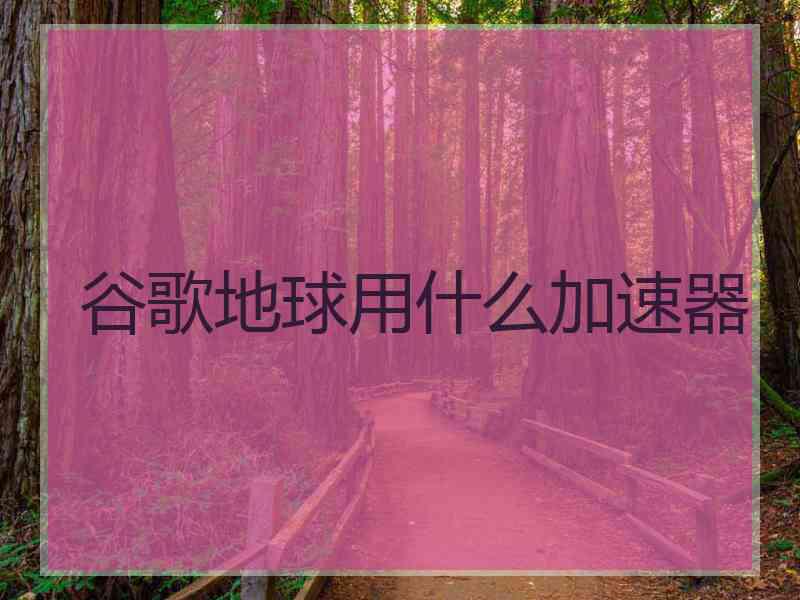 谷歌地球用什么加速器