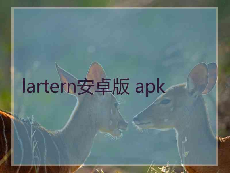 lartern安卓版 apk