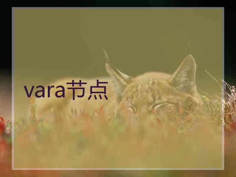 vara节点
