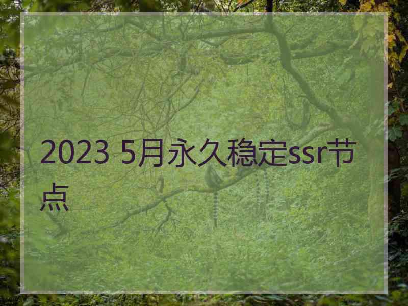 2023 5月永久稳定ssr节点