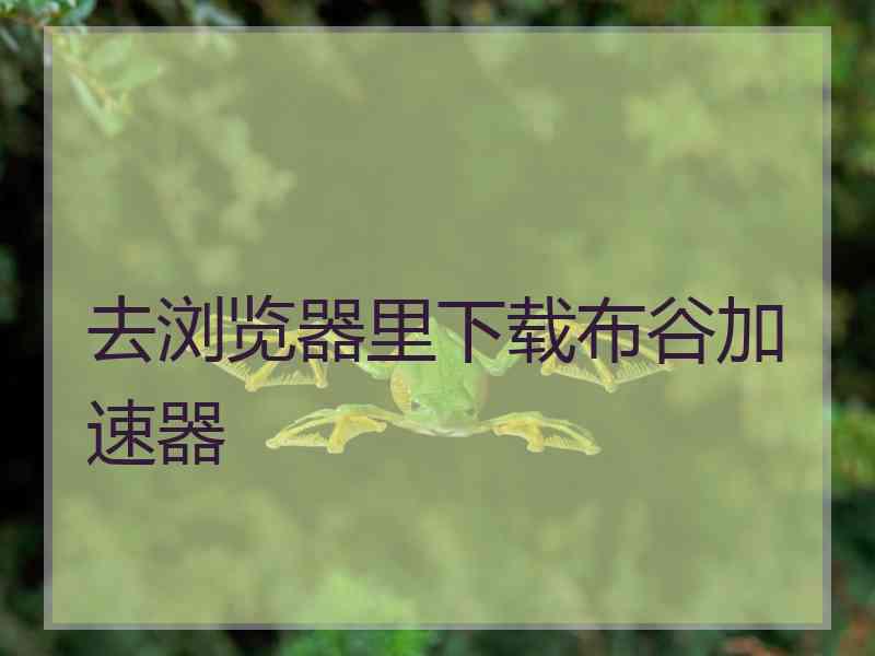 去浏览器里下载布谷加速器