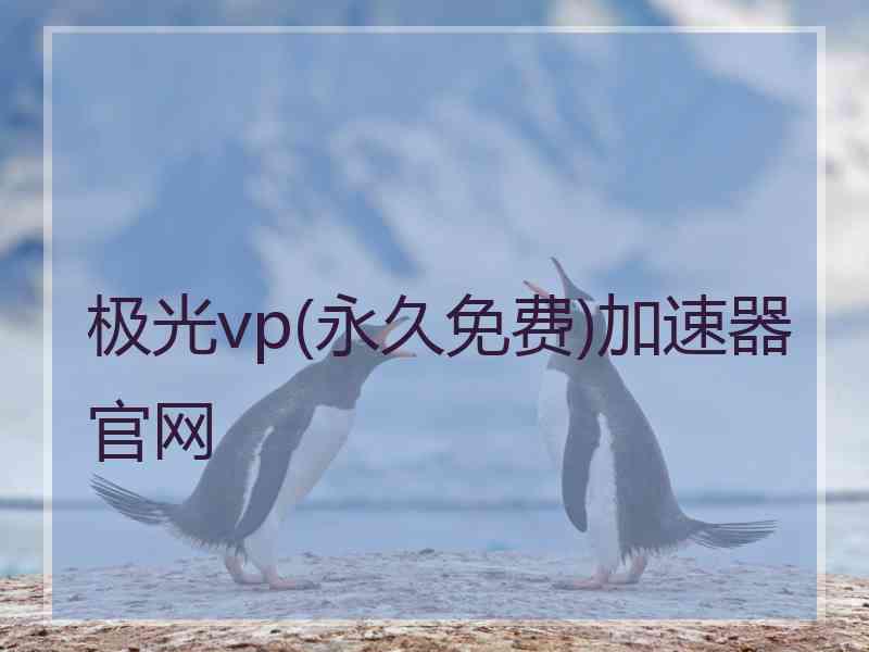 极光vp(永久免费)加速器官网