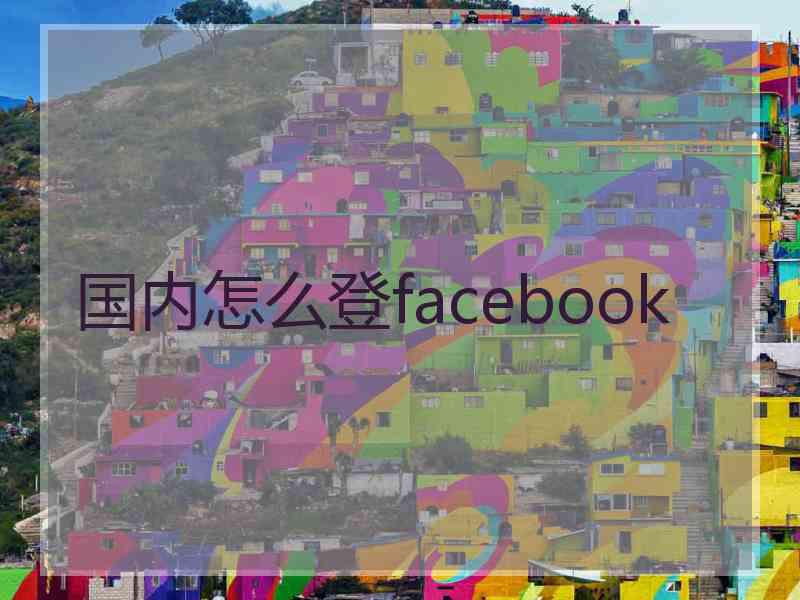 国内怎么登facebook