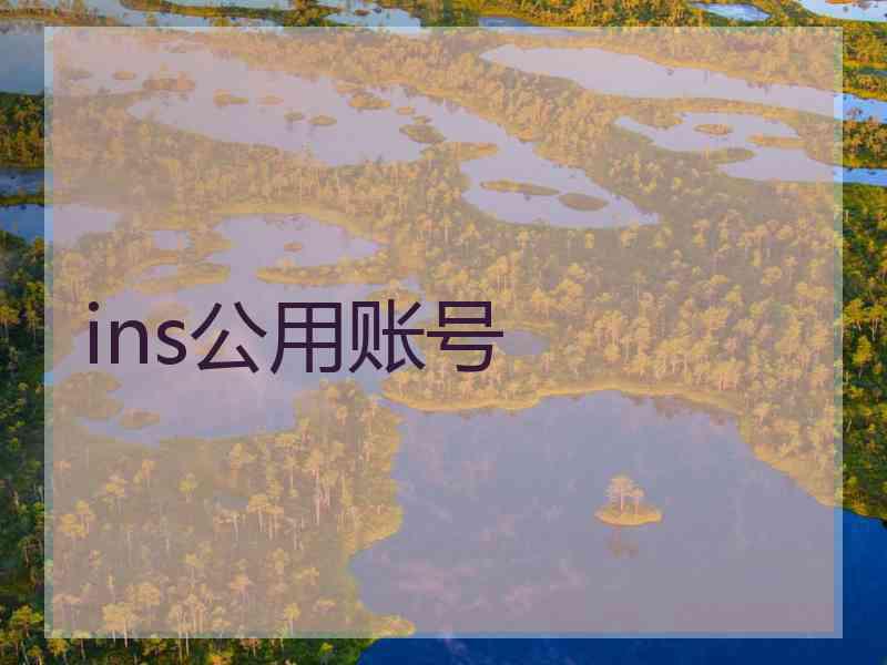 ins公用账号