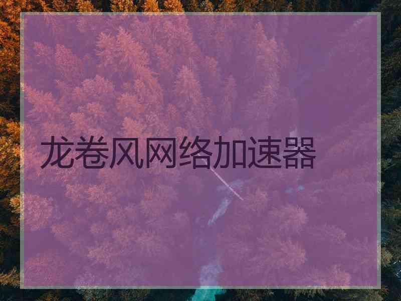 龙卷风网络加速器