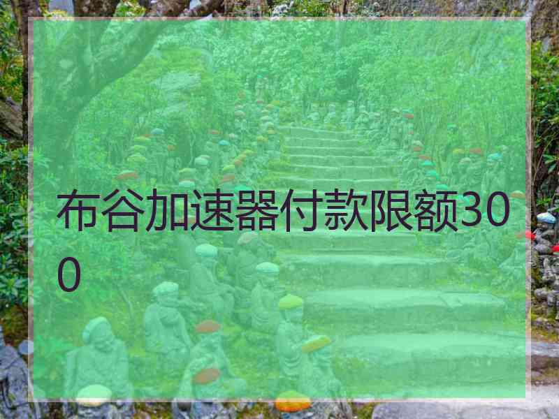 布谷加速器付款限额300