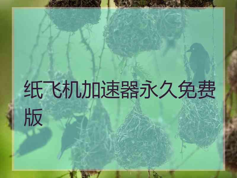 纸飞机加速器永久免费版