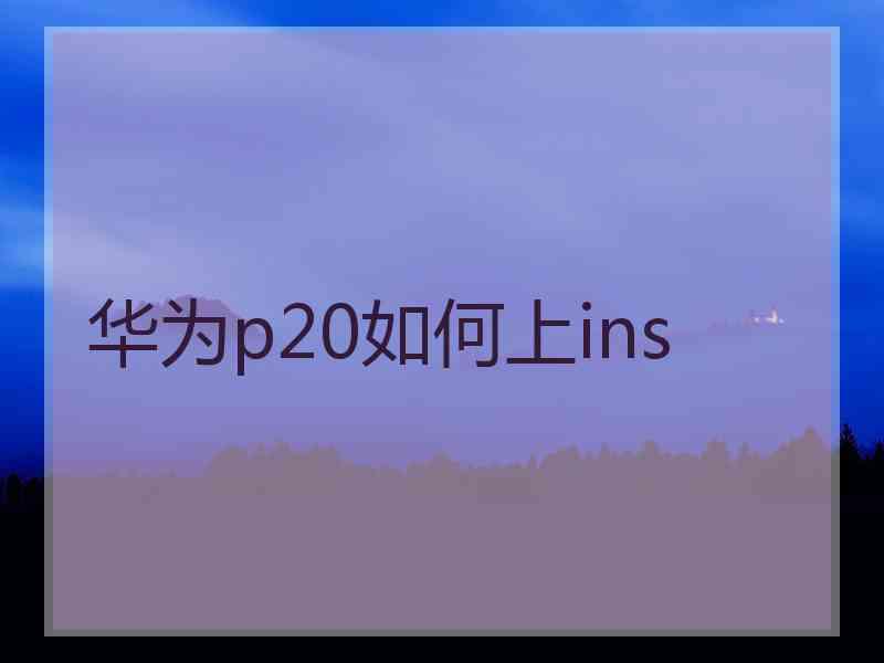 华为p20如何上ins