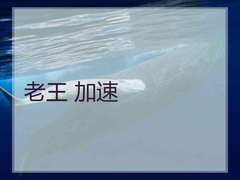 老王 加速