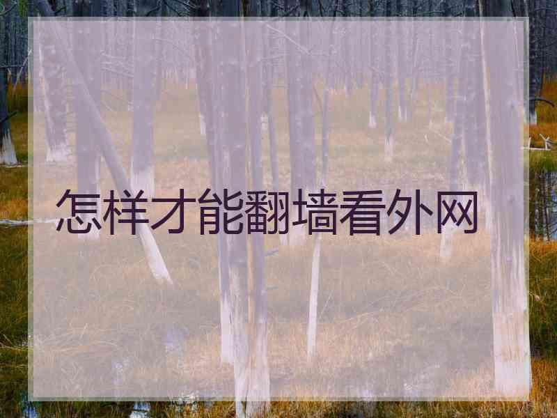 怎样才能翻墙看外网